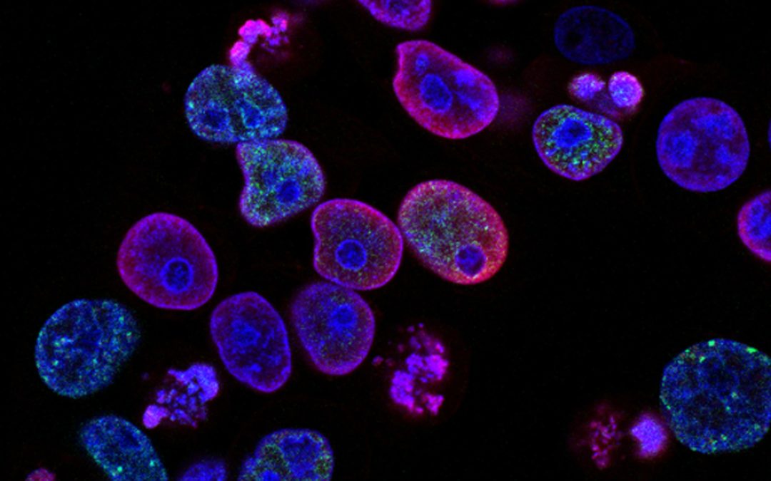 Tech Imperatives for biotech and manufacturing – Report 2022